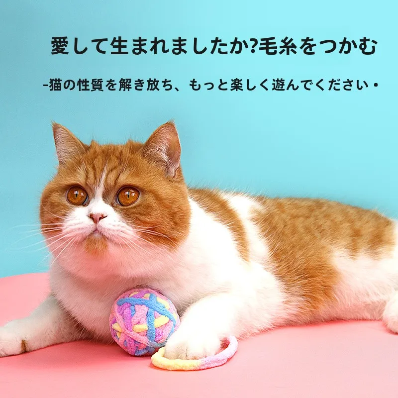 一人暮らしの猫にぴったり？手作りで作れる「噛みごたえのある遊び道具」は本当に必要なの？