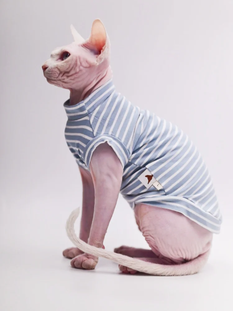 猫飼いが買ってよかったもの・悪かったもの正直に言う｜スフィンクス猫の服選び完全ガイド