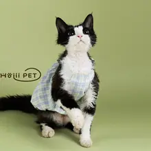 夏用チェック柄フリルパンプキンスカート【デボン猫用・かわいいデザイン・無毛猫用】
