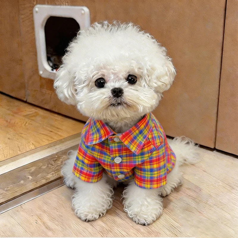 犬が暑さに弱いとき、どんなシャツが最適なのか？