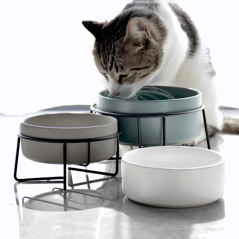 猫飼いが買ってよかったもの・悪かったもの、正直に言うなら？