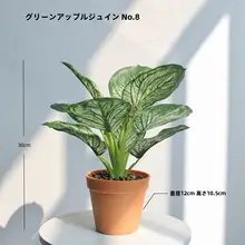 高級リアルグリーンプランツ 竹芋ミニ観葉植物【ホテル・インテリア装飾・自然な雰囲気】