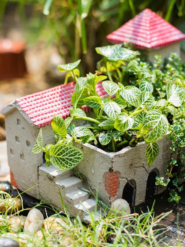コンクリートフラワーポット 多肉植物用 アートオブジェの実用性と設置シーン