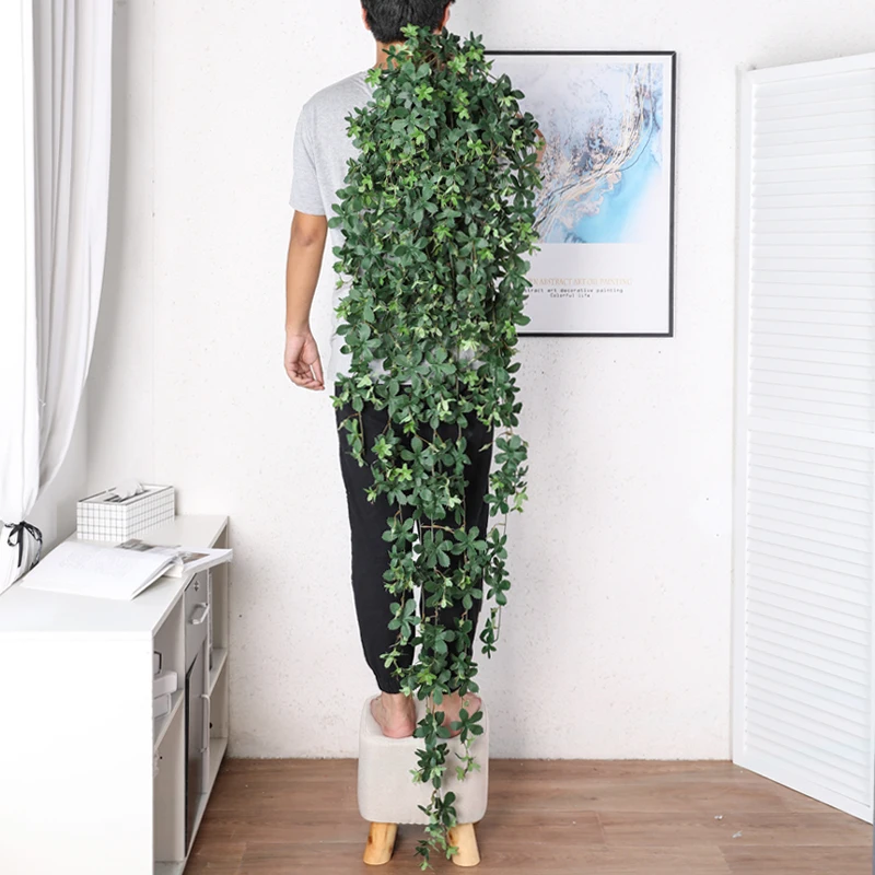 韓国インテリアを再現｜カフェ風部屋の作り方　壁掛け植物の選び方完全ガイド