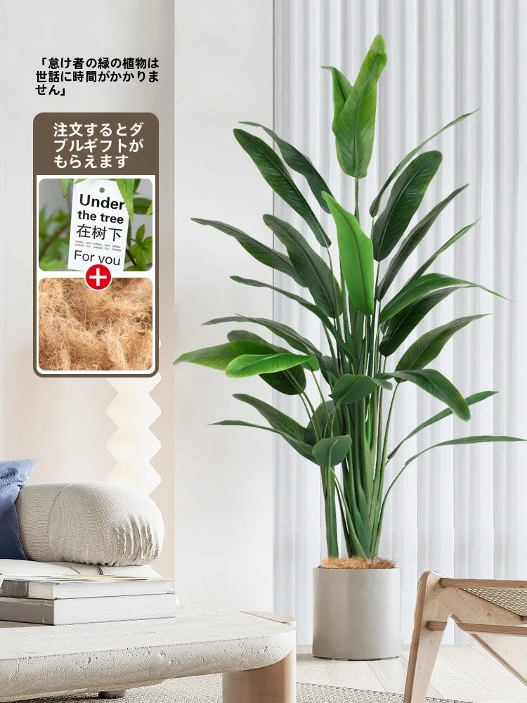 高級エレガンス インテリア用 飛行機の花 アートグリーン植物は部屋の空気を浄化するのか？