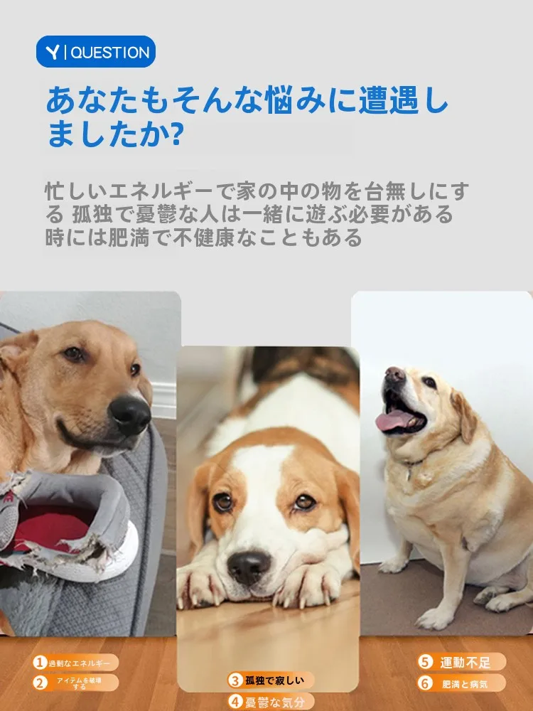 犬のお散歩グッズをコスパ良く揃える方法　自動投球機で解決する実際の悩み