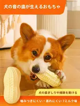 犬用おもちゃ【リアルな大花生・歯磨き・コーギー用・体力消耗・ミルク香】