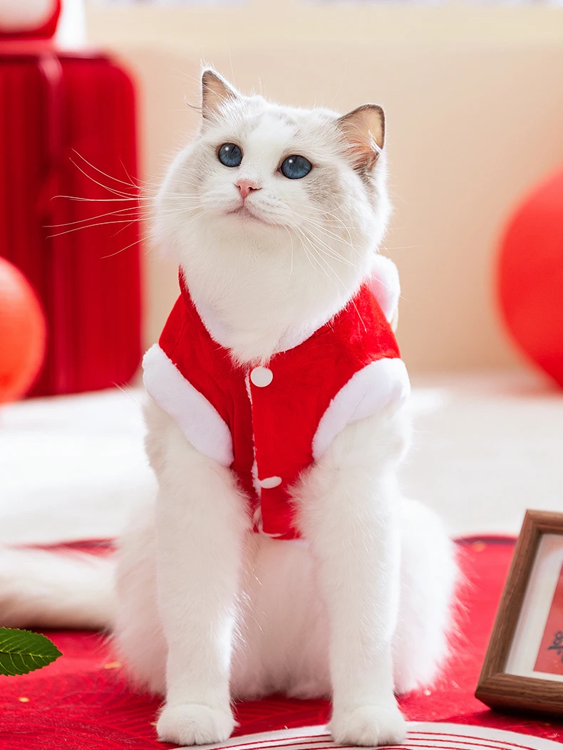 秋冬用コットン製猫服：厚手保温設計で子猫から成猫まで対応