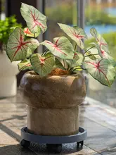 高級感漂うマグネシウム製植木鉢【リビング用・通気性・大きな観葉植物用】