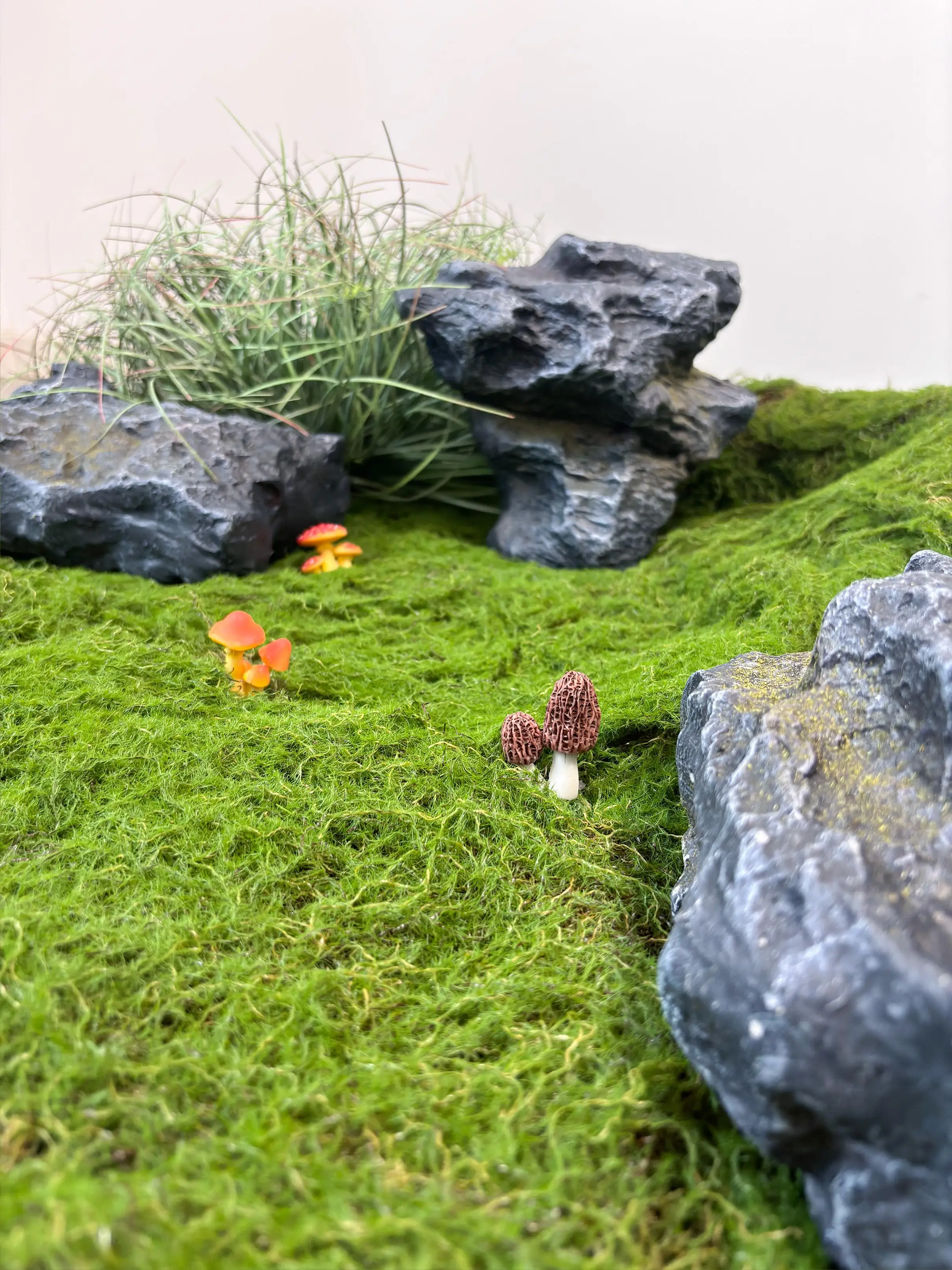 リアルな石風の観葉植物飾り：フェアリーガーデンの自然風設置ガイド