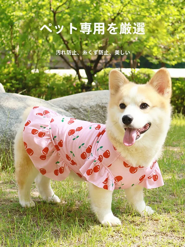 コーギーとビションフリーゼ用 夏用透け感のある衣類：涼感・防毛・日焼け防止の実用性を検証