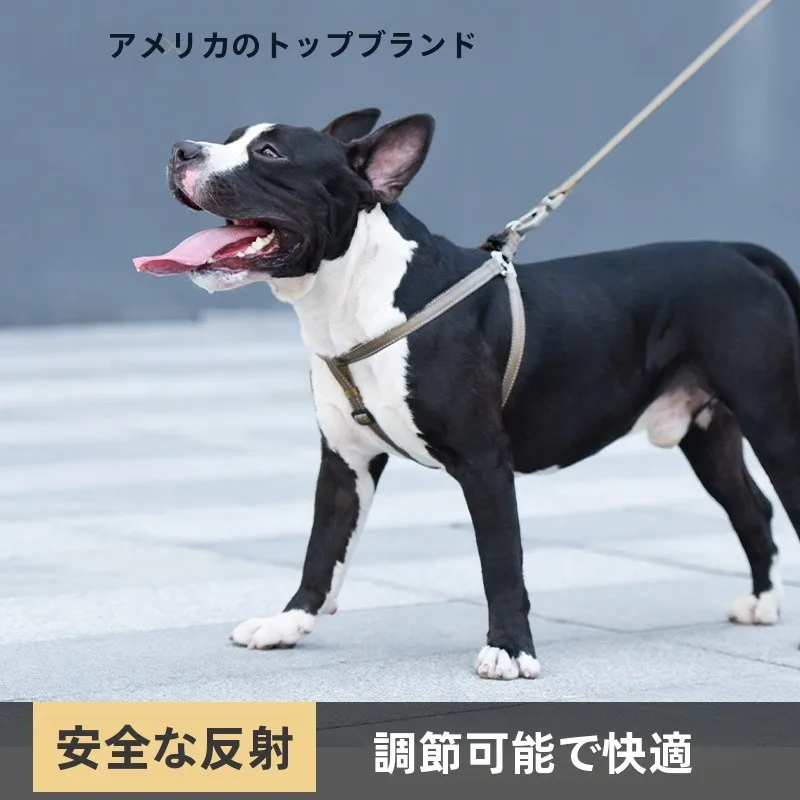 フル活用した節約生活のための多用途深皿 | マットブラックサラダボウルの実用性