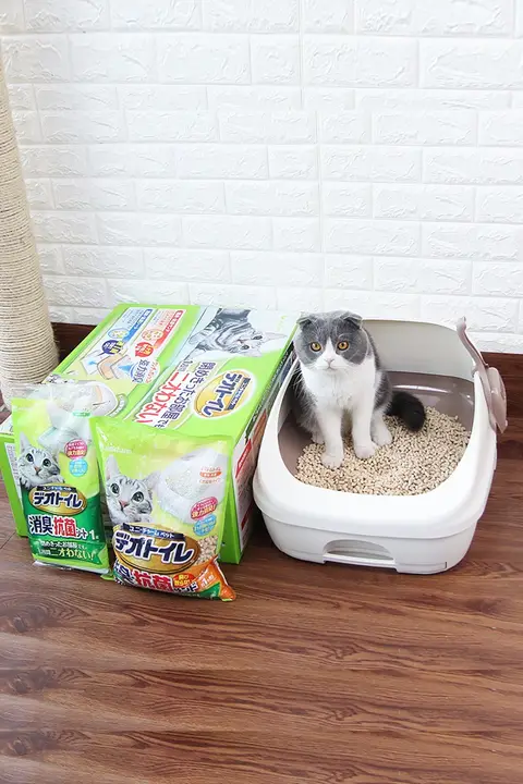 抗菌脱臭機能付き猫用トイレ【ダブルレイヤー・ハーフクローズドデザイン・大サイズ】