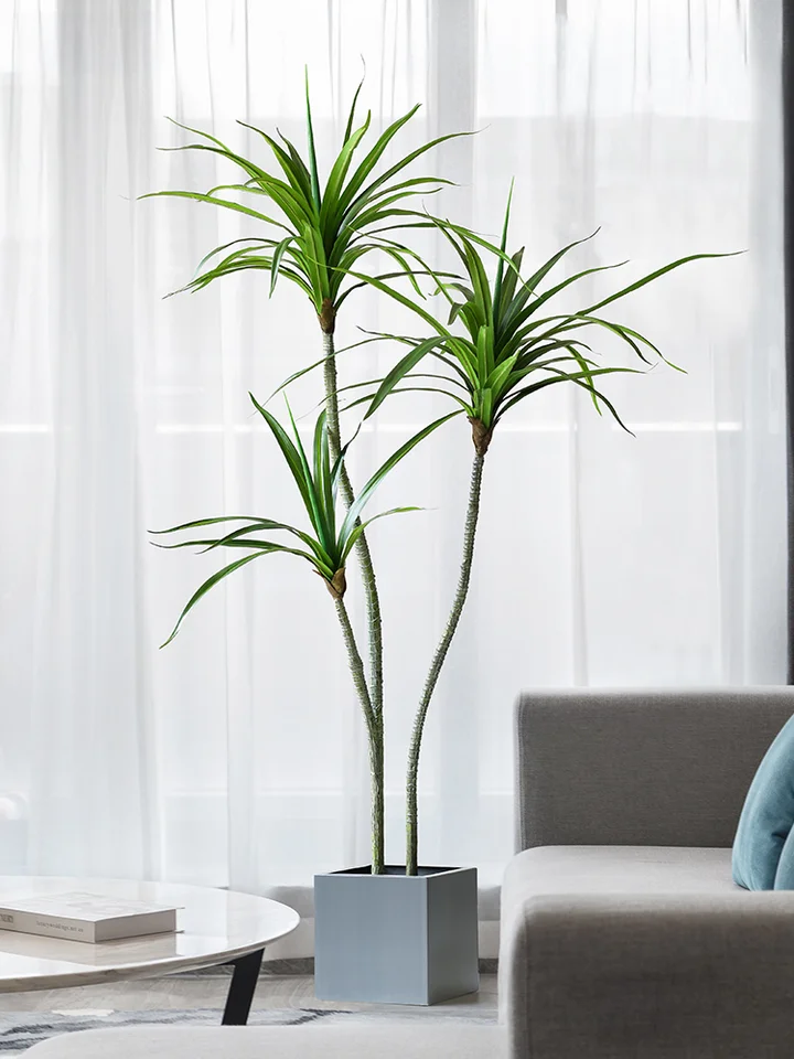 フェイクプランツ ドラゴンブラッドツリー 大型装飾品 インテリア装飾に適した グリーン植物 独特なスタイル