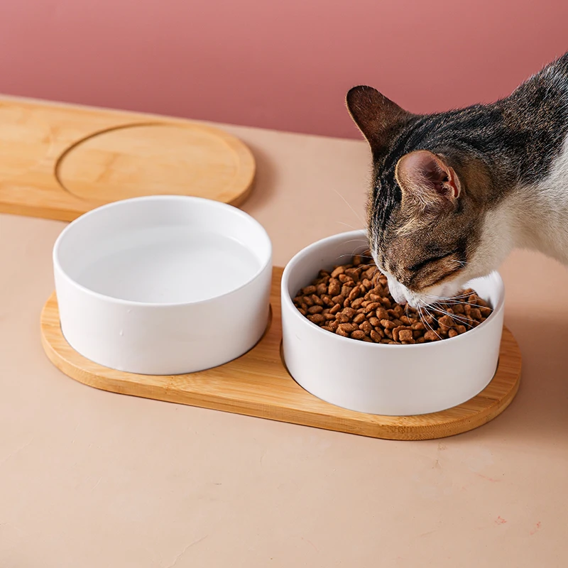 猫飼いが買ってよかったもの・悪かったもの正直に言う：陶器製ペット用食器のダブルボウル構造と実用性