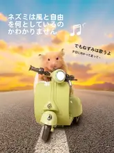バイク ハムスター おもちゃ 電動車 特技回転三輪車