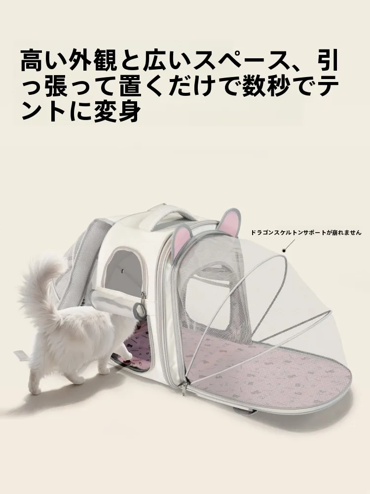 猫用ペットリュック：大容量・軽量・通気性でアウトドアシーンを快適に
