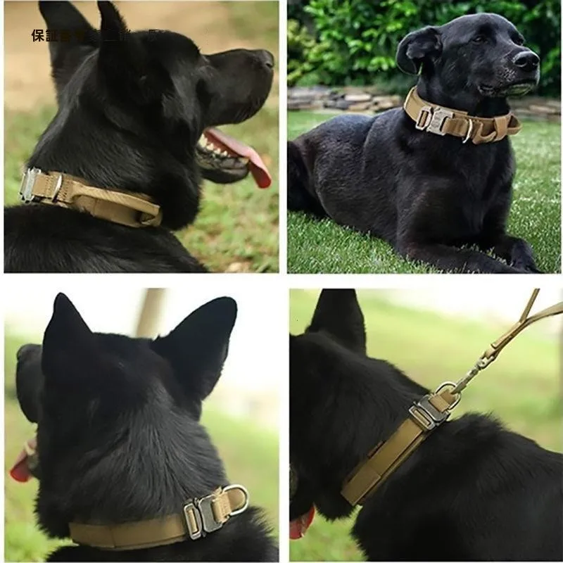 犬のお散歩グッズをコスパ良く揃える方法　完全ガイド