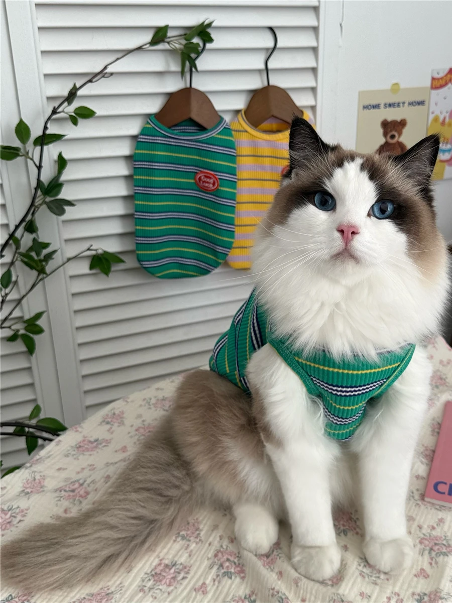 春夏用ペット用衣類：短毛猫飼いやすい日常スタイルの実用性解析