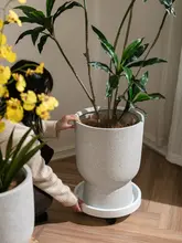 北欧風 マグネシウム泥製 高脚鉢 大型観葉植物用花器【シンプルデザイン・コンクリート製】