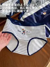 かわいらしいベアプリントのコットンショーツ【抗菌・ロングクロッチ・大きいサイズ対応】