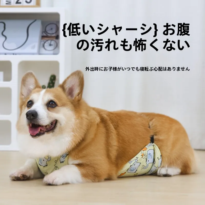 災害時にも安心できる犬の「腹巻き」は、どう選ぶべきか？