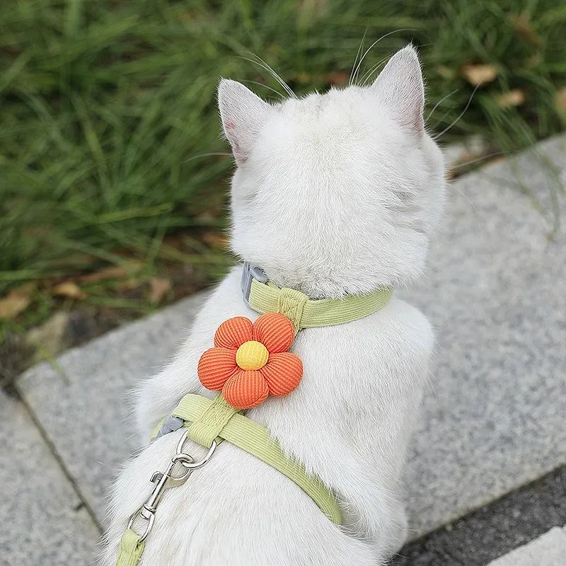 紛失防止タグを買うなら、どう選ぶ？猫の脱走防止に最適なアイテムは？
