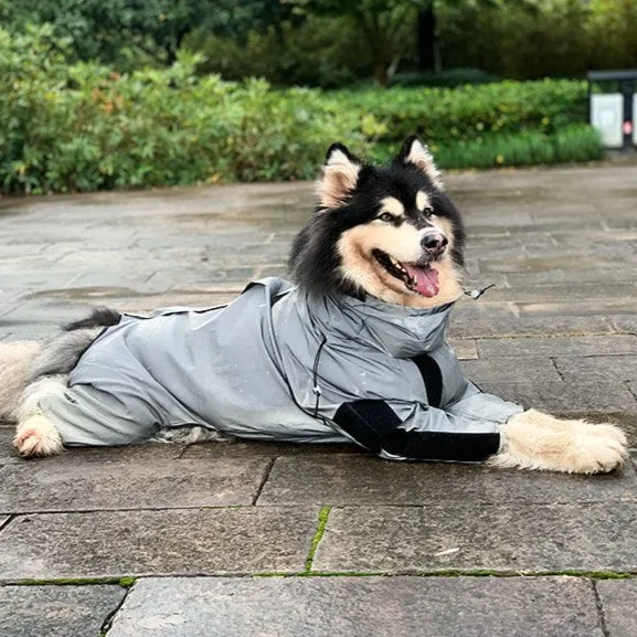 犬のお散歩グッズをコスパ良く揃える方法｜晴雨兼用アウトドアジャケットの実測ガイド