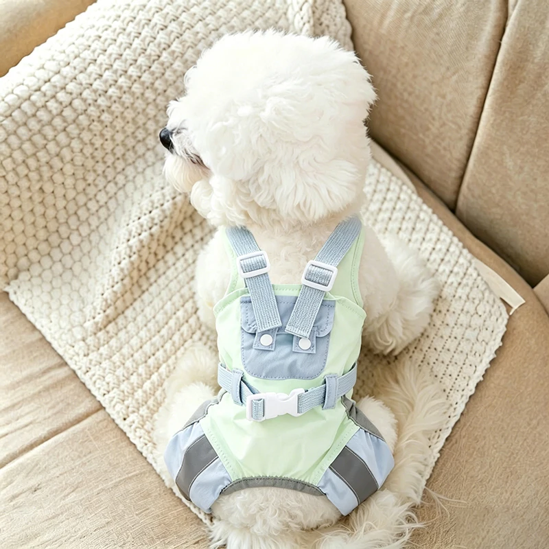 犬の夏用服：PETaの薄手ウェアが屋外散歩に最適な理由