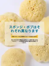 天然素材の洗顔スポンジ【極上の柔らかさ・赤ちゃん用・海藻ふわふわタイプ】
