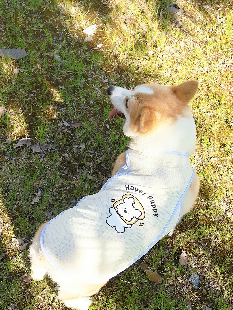 犬用夏用防紫外線ベスト：通気性と抜け毛防止の実用性を検証