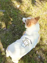 犬用夏用防紫外線ベスト【極上の柔らかさ・通気性・抜け毛防止】