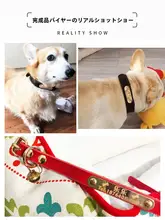 牛革製 刻印付き犬用首輪【防失くし対策・ゴールデン・テディ・柴犬・コーギー・ハスキー用】