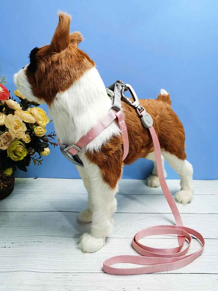 犬のお散歩グッズをコスパ良く揃える方法｜調節可能なハーネスリードで安心と使いやすさを実現