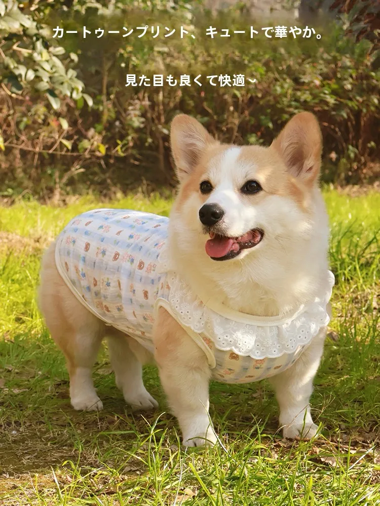 夏の犬服で悩むなら、このプリンセスドレスが救う理由は？