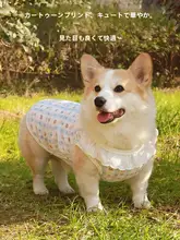 犬用服 柴犬・コーギー・テディに最適な春夏用の薄手で通気性の良いプリンセスドレス【毛が抜けにくい・UVカット機能】