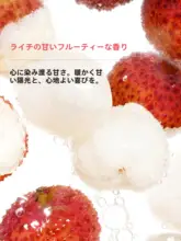 極上の柔らかさのアミノ酸洗顔ムース【オーツミルク・ライチ・敏感肌対応】