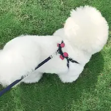 小型犬用ハーネス【胸付き・猫用リード・テディベアスタイル】