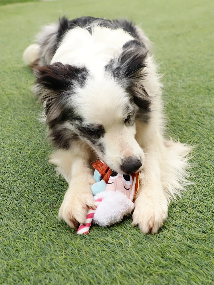 大型犬用おもちゃ：耐噛性・音が出るボール型で飼いやすい日常をサポート
