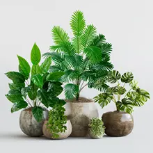 リアル触感のフィ（ゴムの木）インテリア小型ボタニカルバスケット【観葉植物・室内装飾用】