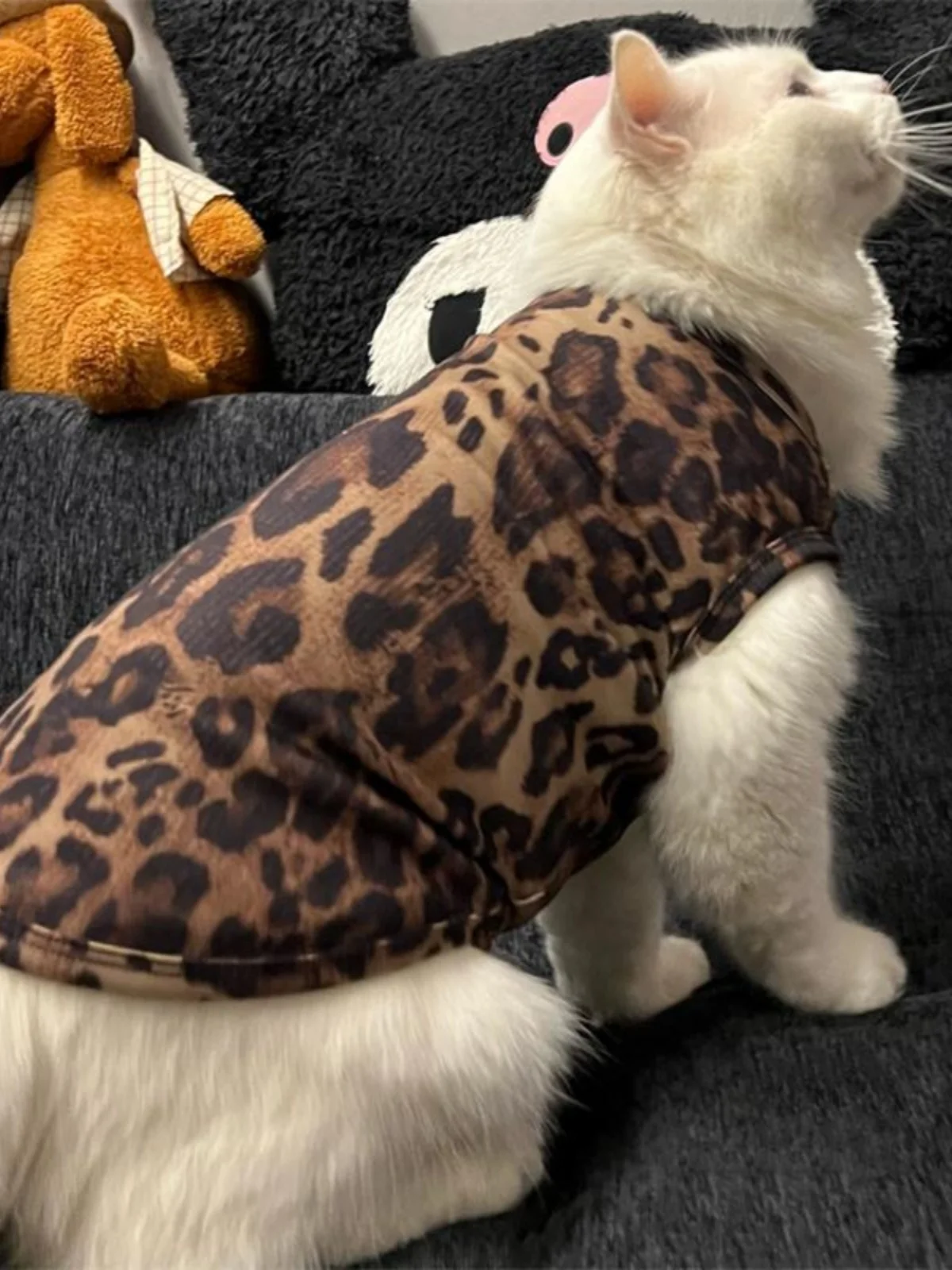 猫のtシャツを選ぶときに迷うなら、この1点が解決する！