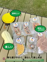 ペット用トラベルバッグ【除菌剤・尿パッド・ゴミ袋・携帯便利】