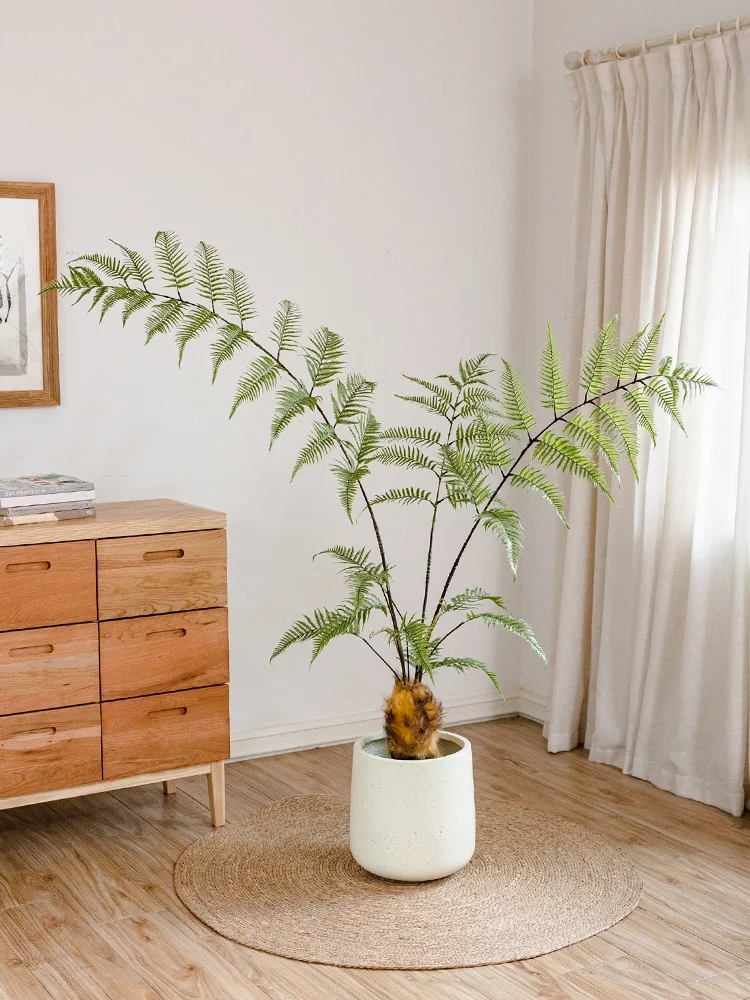 1×4 DIY アイデアで家を彩る？高級感ある観葉植物が解決するリアルな暮らしの悩みとは