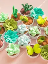 多肉植物ハンドメイドDIYキット【フェルト素材・デスク装飾・ギフト向け】