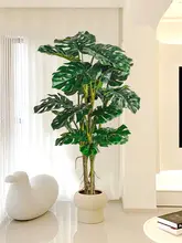 バイオニックグリーン 巨大 シダ 植物 インテリア リビング 装飾 景観