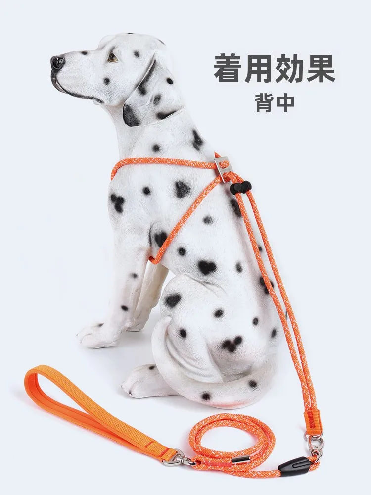 犬のお散歩グッズをコスパ良く揃える方法｜胸部装着式ハーネスの選び方と実践ガイド