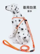犬用 ハーネス 胸部装着式 リード付き【夏用・大型犬・小型犬対応】