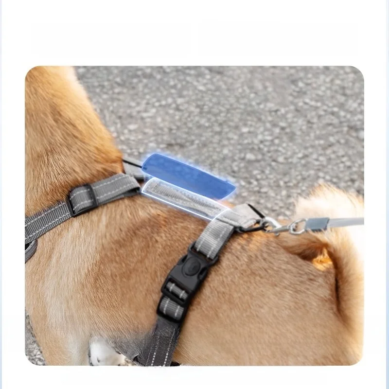犬用胴着タイプのリード：小型・中型犬対応で引っ張り防止を実現