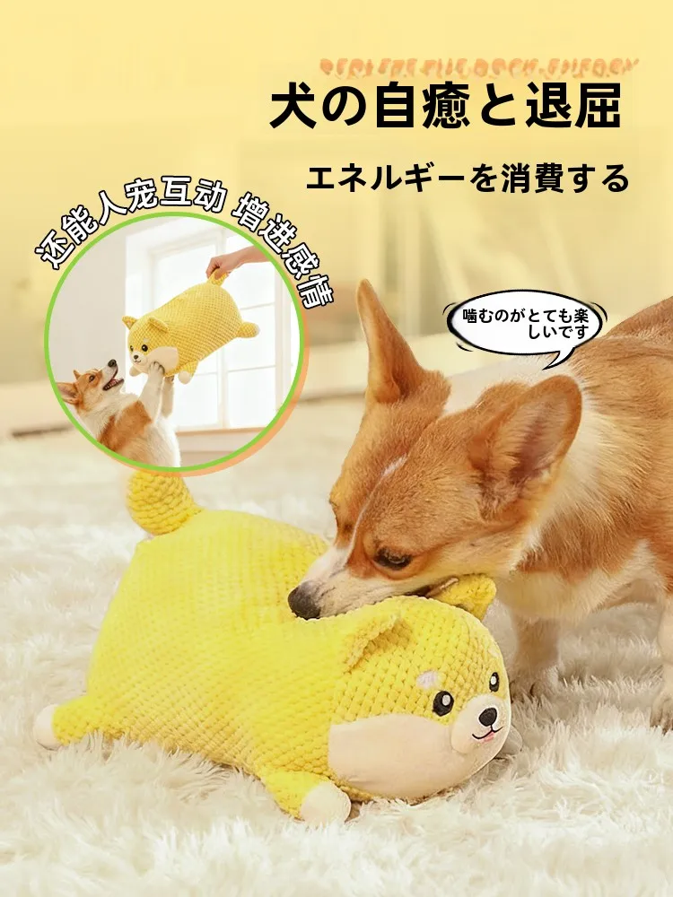 犬の歯磨きに悩むなら、この音が出るおもちゃが救いになる？