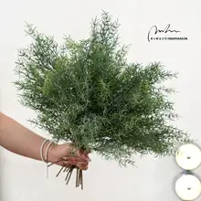 高級感あるリアルな観葉植物 金魚草【インテリア装飾・ライトラグジュアリー】